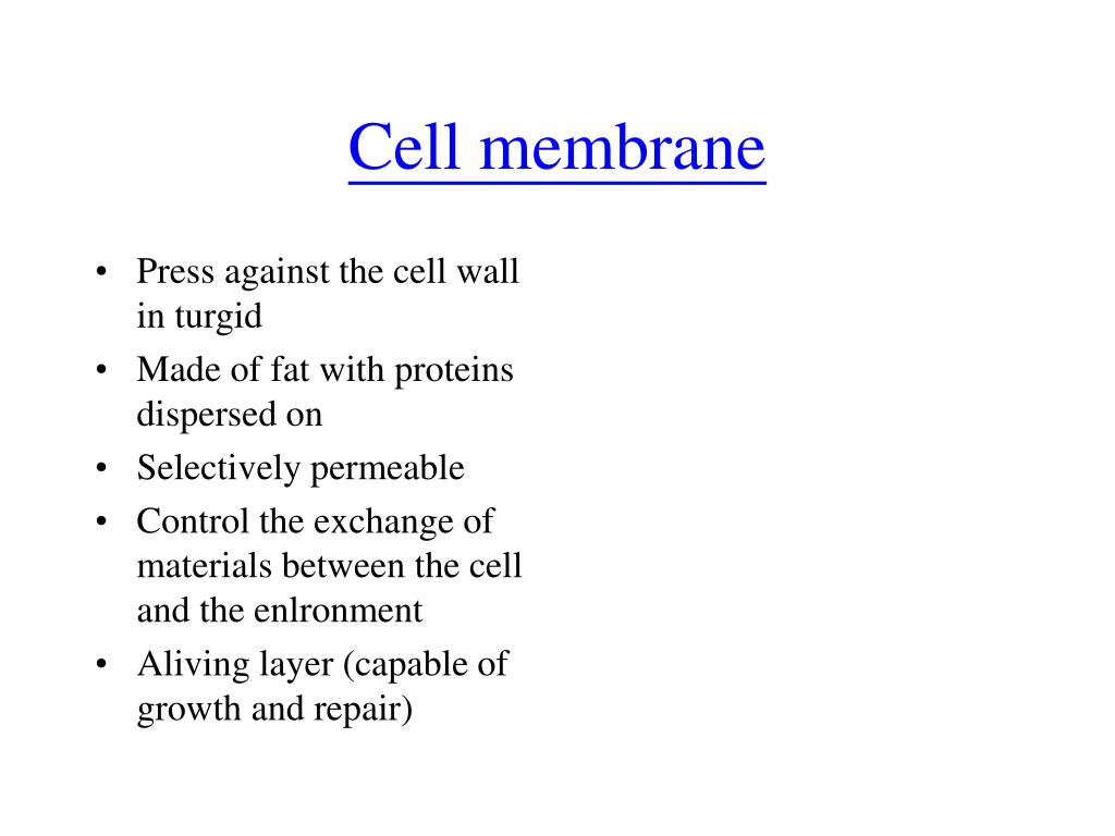 PPT - Cell membrane PowerPoint Presentation, free download - ID:6911089