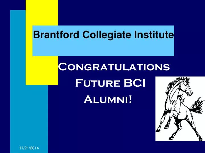 brantford collegiate institute