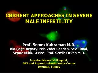 CURRENT APPROACHES IN SEVERE MALE INFERTILITY