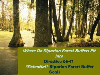 Where Do Riparian Forest Buffers Fit into Directive 06-1?
