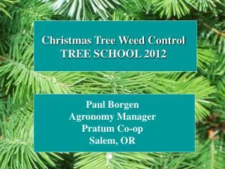 Christmas Tree Weed Control TREE SCHOOL 2012