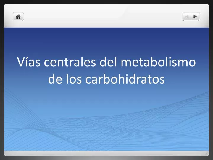 v as centrales del metabolismo de los carbohidratos