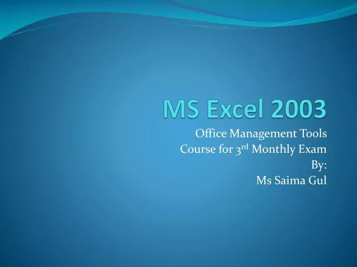 ms excel 2003