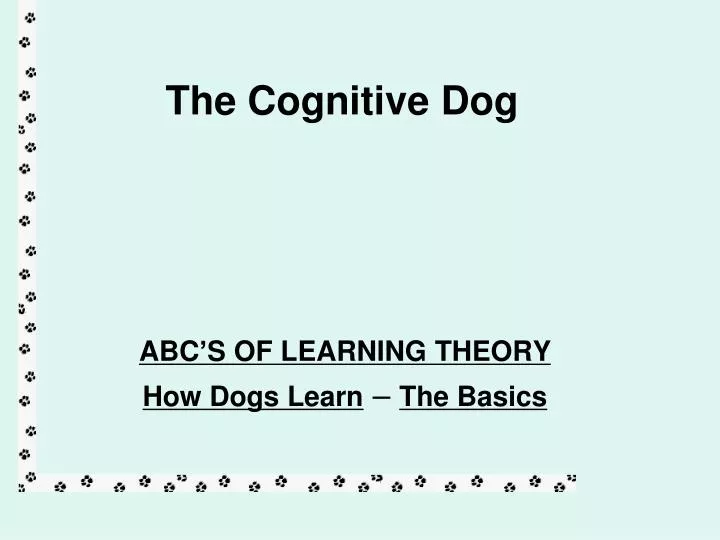 the cognitive dog
