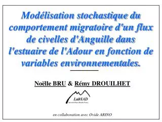 Noëlle BRU &amp; Rémy DROUILHET en collaboration avec Ovide ARINO