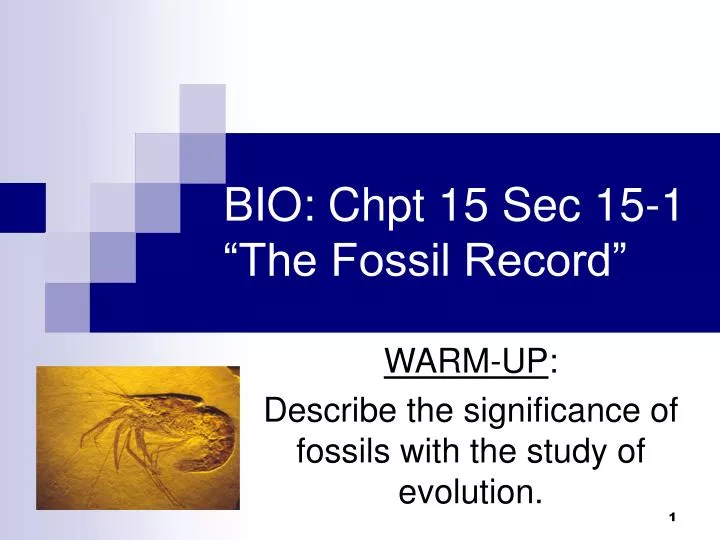 bio chpt 15 sec 15 1 the fossil record