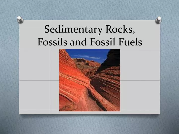 sedimentary rocks fossils and fossil fuels