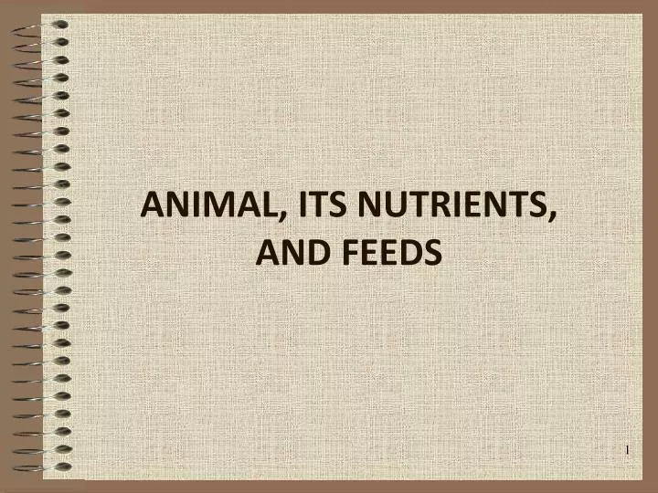 animal its nutrients and feeds