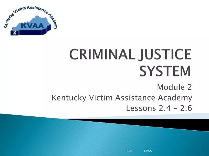 criminal justice system