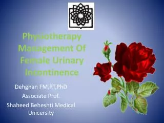 Physiotherapy Management Of Female Urinary Incontinence