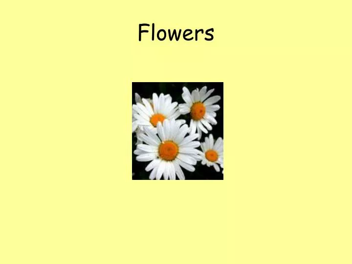 flowers