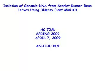 Isolation of Genomic DNA from Scarlet Runner Bean Leaves Using DNeasy Plant Mini Kit