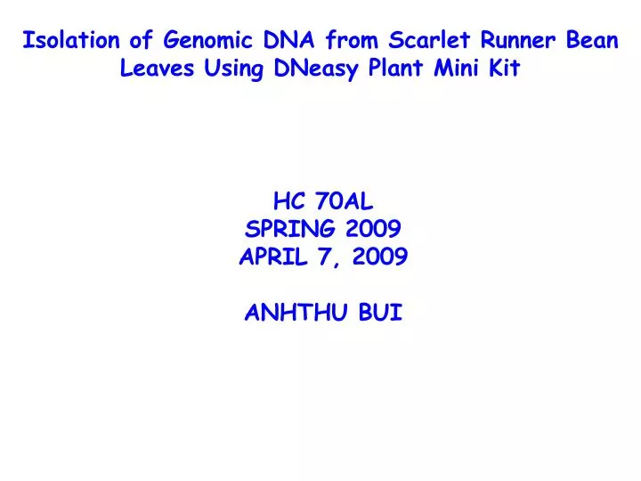 isolation of genomic dna from scarlet runner bean leaves using dneasy plant mini kit