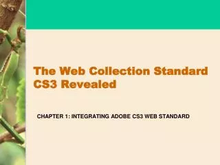 The Web Collection Standard CS3 Revealed