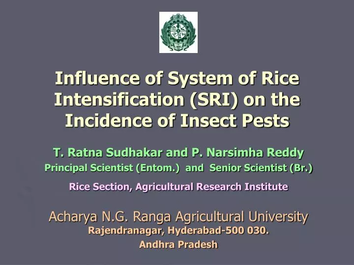 influence of system of rice intensification sri on the incidence of insect pests