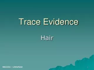 Trace Evidence