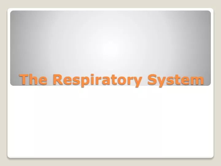 the respiratory system