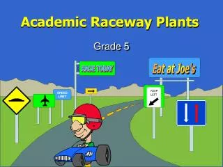 Academic Raceway Plants