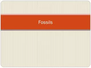 Fossils