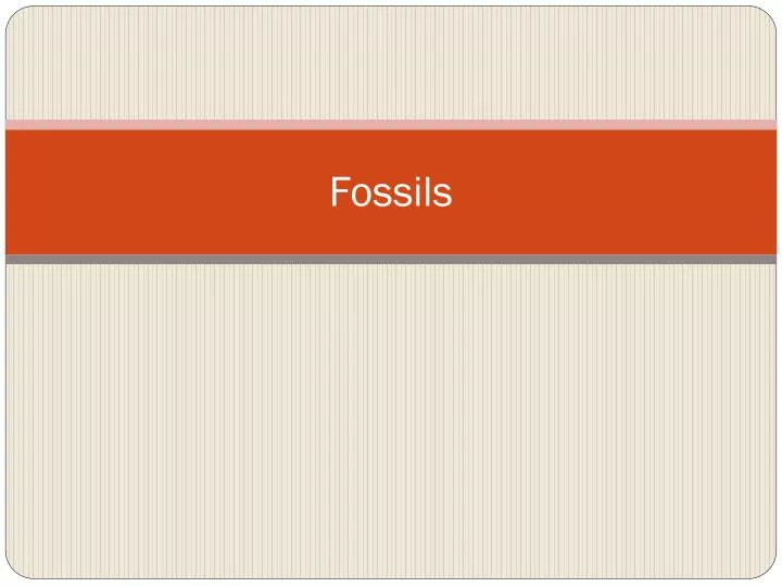 fossils