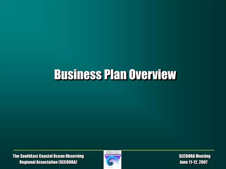 business plan overview