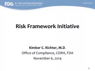 Risk Framework Initiative
