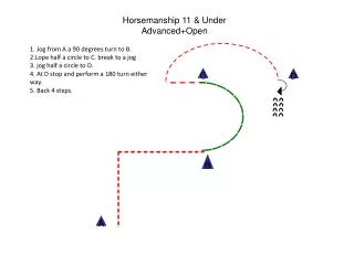 Horsemanship 11 &amp; Under Advanced+Open