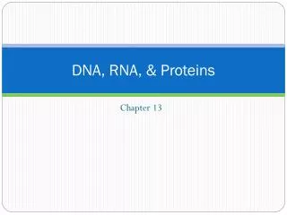 DNA, RNA, &amp; Proteins