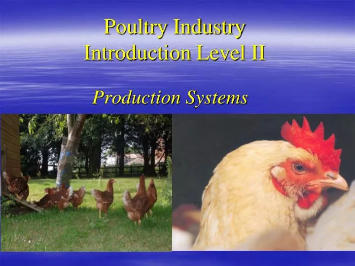 poultry industry introduction level ii