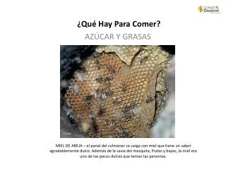 qu hay para comer