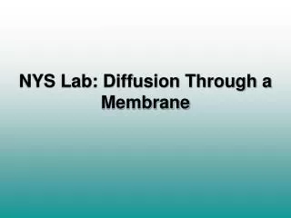 NYS Lab: Diffusion Through a Membrane