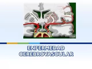 enfermedad cerebrovascular