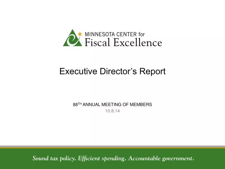 executive director s report