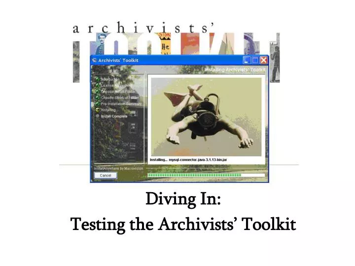 diving in testing the archivists toolkit