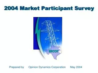 Prepared by Opinion Dynamics Corporation May 2004