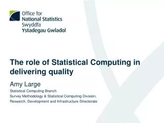 The role of Statistical Computing in delivering quality