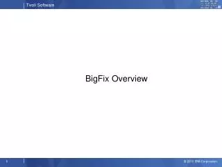 BigFix Overview
