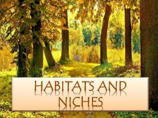 HABITATS AND NICHES