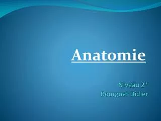 niveau 2 bourguet didier