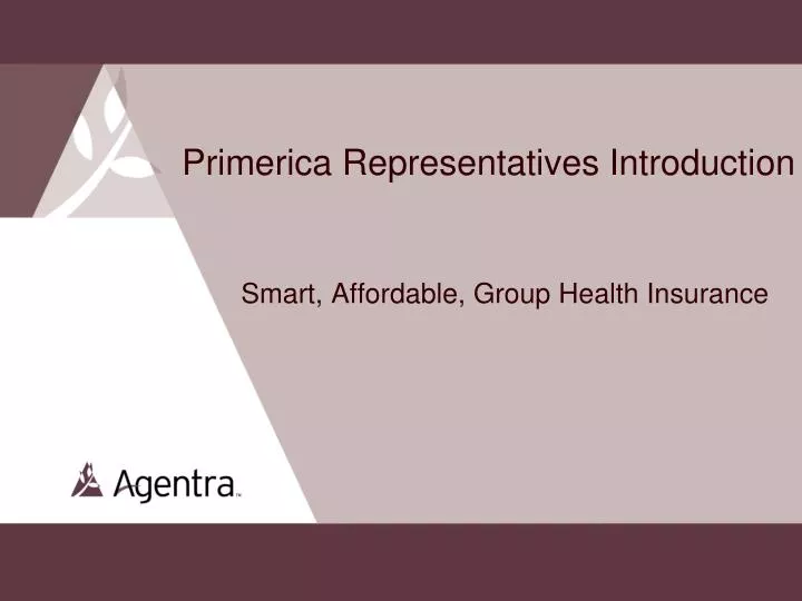 primerica representatives introduction smart affordable group health insurance