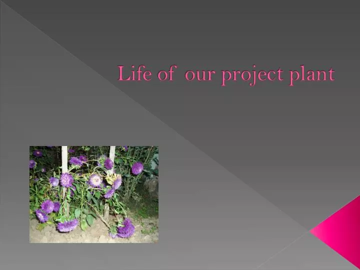 l ife of our project plant