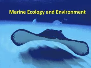 Marine Ecology and Environment