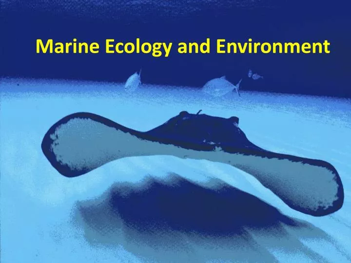 marine ecology and environment