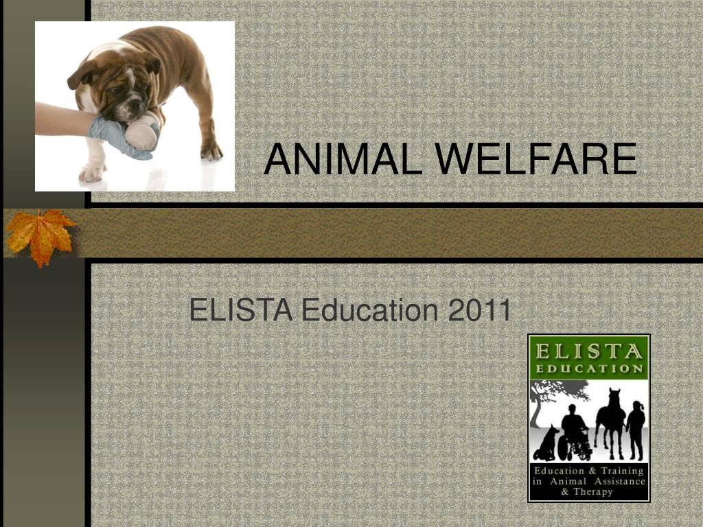 PPT - ANIMAL WELFARE PowerPoint Presentation, free download - ID:6913900