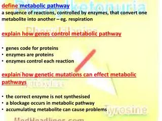 define metabolic pathway