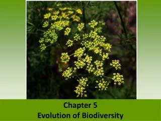 Chapter 5 Evolution of Biodiversity