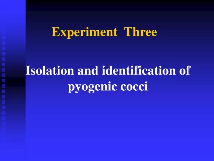 isolation and identification of pyogenic cocci