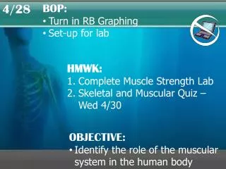 HMWK: Complete Muscle Strength Lab Skeletal and Muscular Quiz – Wed 4/30
