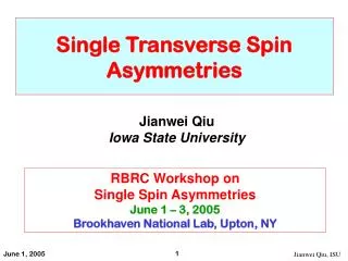 Single Transverse Spin Asymmetries