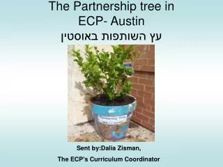The Partnership tree in ECP- Austin ?? ??????? ???????